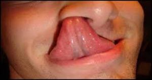 blog0022