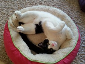 blog0029